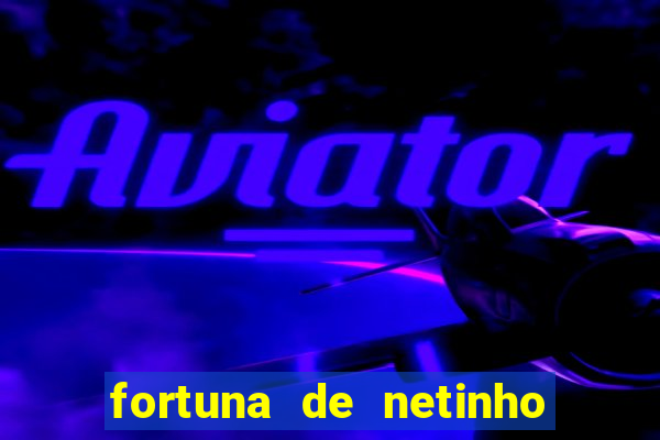 fortuna de netinho de paula